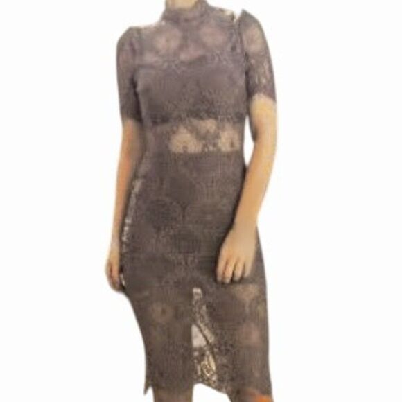 L'atiste Dress Victorian Lace Romantic Stretchy Sheer Panels Brown Mauve Tan S - Picture 1 of 14